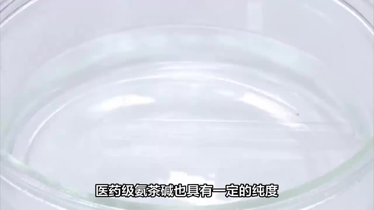 藥用級氨茶堿原料藥CP藥典標(biāo)準(zhǔn)CDE備案A