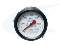 YZS-102Z雙針壓力表