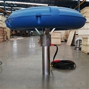 黑臭河治理噴泉曝氣機