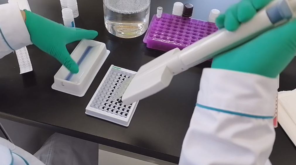 Elisa试剂盒 365上市公司官网 试剂盒 抗体 抗原