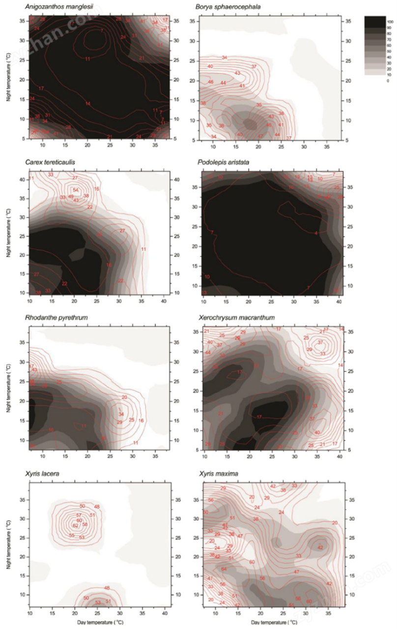 GRD1R LH温度梯度培养板