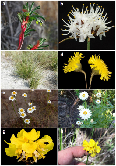 GRD1R LH温度梯度培养板