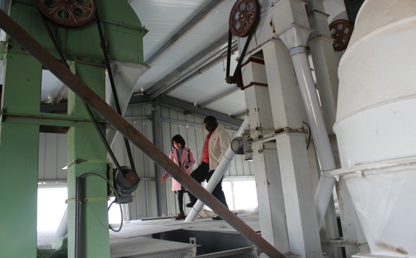 玉米面粉機(jī)械設(shè)備 玉米面粉機(jī)械設(shè)備